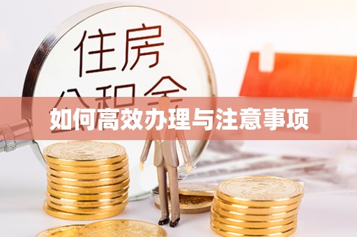锦江如何高效办理与注意事项